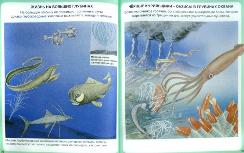 Твоя первая энциклопедия «Тайны моря»  